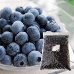 { есть перевод }[ рефрижератор ] Yamagata. .. голубика примерно 1kg