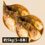 2026 год 2 месяц примерно ~ предварительный заказ начало предположительно | Yamagata. утро .. побеги бамбука (....) примерно 5kg