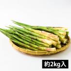  утро .. дикоросы маленький бамбук ( корень изгиб .) примерно 2kg