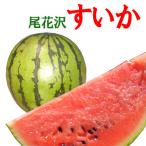 予約 送料無料 尾花沢スイカ で夏をのりきろう 山形県産 尾花沢 すいか 2L以上 大玉 1玉 自慢のシャリ感 西瓜7月下旬頃より順次発送予定