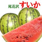 予約 送料無料 尾花沢スイカ で夏をのりきろう 山形県産 尾花沢すいか 大玉 2L 以上2玉 自慢のシャリ感 西瓜7月下旬頃より順次発送予定