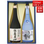 日本酒 日本酒セット 酒 飲み比べセット 銀嶺月山 純米大吟醸 山田錦 と 純米吟醸 月山の雪 720ml x 2本 化粧箱入セット 山形 地酒 月山酒造 寒河江市 お酒