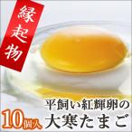 1/21発送 大寒たまご 手づくり卵農場の平飼い卵 紅輝卵 こうきらん 10個入り 大寒卵