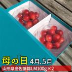 母の日 2024 プレゼント さくらんぼ 佐藤錦 LMサイズ100g ダイヤパック ２パック入 送料無料 山形県産 花以外