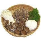  сырой .. .5 вида комплект маленький 2~3 порции Yamagata префектура лосось река .: самый сверху ....