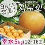 フルーツ 和梨 幸水 5kg 9月上旬発送 山形県庄内酒田市産 刈屋梨 幸水 5kg 12玉〜16玉 送料無料
