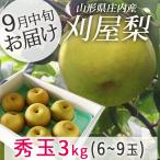 梨 フルーツ 和梨 刈屋梨 秀玉 しゅうぎょく 約3kg 玉数おまかせ 生産元直送の為同梱不可 希少な和梨 送料無料