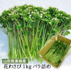 2月〜3月発送 山形県産 花わさび 約1kg バラ詰 期間限定商品