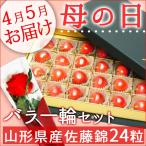 母の日 2024 プレゼント さくらんぼ 山形県産 5月お届け 佐藤錦 さくらんぼ24粒化粧箱 Lサイズ バラの花１輪付