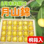  Yamagata префектура производство 6 месяц последняя декада доставка вишня месяц гора .24 шарик несессер 2L размер и больше прохладный рейс бесплатная доставка другой товар . включение в покупку не возможно упаковка 