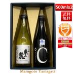 日本酒 金賞受賞酒 飲み比べセット 送料無料 東の麓 なんどでも × 大吟醸 500ml 2本セット 日本酒 山形 地酒 お酒