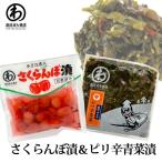 漬物 2種セット漬物 ピリ辛青菜 さ
