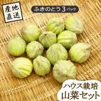  дикоросы Yamagata префектура производство Fuki no Tou 3 упаковка house культивирование прямая поставка от производителя поэтому другой товар . включение в покупку не возможно 