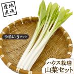  дикоросы Yamagata префектура производство ...5 упаковка house культивирование прямая поставка от производителя поэтому другой товар . включение в покупку не возможно 