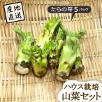  дикоросы Yamagata префектура производство ... .5 упаковка house культивирование прямая поставка от производителя поэтому другой товар . включение в покупку не возможно 