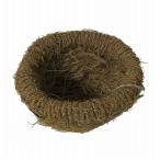 川井『ココナッツ　皿巣』