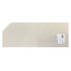 寿工芸 ガラスブタ450半切落とし　KG-1