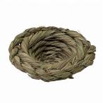  река .[ маленькая птица. .. гнездо ]