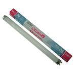 NEC[ солнечный белый 10W]