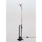 ショッピングフロス （国内在庫僅か）TOIO ブラック FLOS（フロス）フロア照明（専用ランプ）