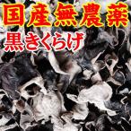 [ бесплатная доставка ] Yamaguchi префектура производство чёрный иудино ухо 100g( сухой )[ местного производства ][ нет пестициды ][.......]* доставка отдельно, Tohoku 500 иен, Hokkaido * Okinawa 1000 иен требуется *