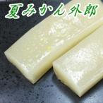 [ сезон ограничение ] Yamaguchi префектура производство лето мандарин вне .16шт.@[ Yamaguchi префектура ][ внизу сосна город глициния свет блок ][.....][....]