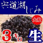 [ бесплатная доставка ][ Shimane Matsue город ][ flat . консервы ][ песок вытащенный ]. дорога озеро производство утро .....( сырой ) крупный 3kg* доставка отдельно, Tohoku 500 иен, Hokkaido, Okinawa 1000 иен *