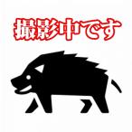 【送料無料】【長州ジビエ】下関産【イノシシ肉】ヒレ肉ブロック1kg【山口県】※別途送料、東北500円、北海道1000円、沖縄、離島は送れません※