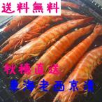 【やまぐちECエール便により送料無料】秋穂直送（車エビ）『車えび西京味噌漬け』２００ｇX２箱（合計２４〜２８匹前後）車海老