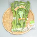山口県産『はなっこりー(ハナッコリー)』【野菜詰め合わせセット同梱で送料無料】