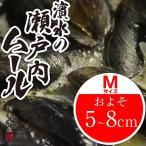 【濱水直送】周防大島産「天然　活きムール貝　Ｍサイズ　５kg」