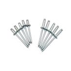 REGAR���ꥬ���ޥ�󥹥ƥ�쥹��ȴ����٥å� ��12.8������1�ܡˡ�7726