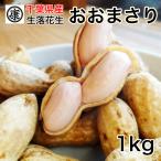【早割】旬の味覚!令和7年産 ゆで落花生用 生落花生千葉県産おおまさり 1kg 茹で落花生