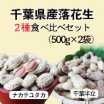 令和4年産 千葉県産 落花生 2種味比べセット 1.0kg（千葉半立・ナカテユタカ各500g）