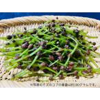  натуральный ... ламинария (... реальный )800g Aomori префектура производство 