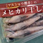 干物・めひかり・目光・メヒカリ干し
