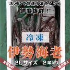 「活〆冷凍伊勢海老」”LLサイズ”　1.6ｋｇ　2尾入り　海老・伊勢海老・伊勢えび・伊勢エビ　冷凍　活〆