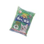 その他ペット用品、生き物