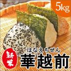中橋商事 令和6年産 福井県産 華越前 はなえちぜん 花えちぜん お米 5kg 【お一人様4点限り】