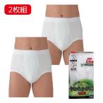 GUNZE Gunze SV61312 мягкость нижнее белье небо скидка Brief ( передний ..) 2 листов комплект белый [ мужчина нижнее белье брюки хлопок 100% антибактериальный дезодорация ] M размер . покупка 