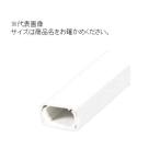 朝日電器 ELPA(エルパ) ABSモール 壁用 1号 1m [工事用 配線モール] ホワイト
