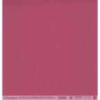 ���� ���顼�ڡ��ѡ��� ���� KU100-910