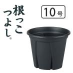 アップルウェアー 根っこつよし10号 [植木鉢 プランター 園芸 ガーデニング 観葉植物] ブラック 爆買