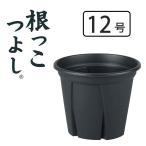 アップルウェアー 根っこつよし12号 [植木鉢 プランター 園芸 ガーデニング 観葉植物] ブラック 爆買