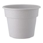 ���åץ륦������ AP�ݥå� 4�� �ߥ���