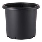  Apple одежда -. горшок 10 номер черный . покупка 