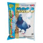 鳥のエサ