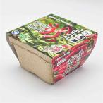 ウタネ 楽育栽培キット とうがらし(鷹の爪) [栽培セット 家庭菜園 ベランダ コンパクト 初心者向け ECO角ポット] 1セット