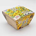 ウタネ 楽育栽培キット 赤ちゃんひまわり [栽培セット 花 ベランダ コンパクト 初心者向け ECO角ポット] 1セット