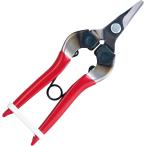 アルスコーポレーショ